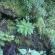 DSCN0184.JPG