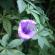 DSCN0195.JPG