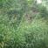 DSCN0200.JPG