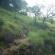 DSCN0263.JPG
