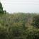 DSCN0276.JPG