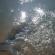 DSCN0508.JPG