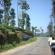 DSCN0582.JPG