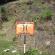 DSCN0636.JPG