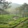DSCN0796.JPG