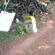 DSCN0893.JPG