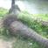 DSCN1135.JPG