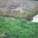DSCN1198.JPG