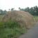 DSCN1219.JPG