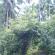 DSCN1260.JPG