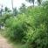DSCN1261.JPG