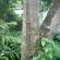 DSCN1348.JPG