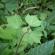 DSCN1536.JPG