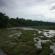 DSCN3470.JPG
