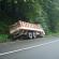 DSCN3649.JPG