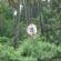 DSCN3874.JPG