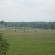 DSCN4032.JPG