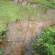 DSCN4249.JPG