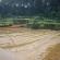 DSCN5515.JPG