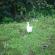 DSCN5655.JPG