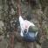 DSCN5679.JPG