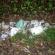 DSCN5952.JPG