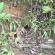 DSCN5964.JPG