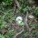 DSCN5981.JPG