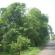 DSCN7577.JPG