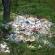 DSCN7588.JPG