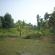 DSCN7680.JPG