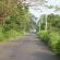 DSCN7772.JPG