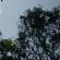 DSCN7948.JPG