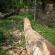 DSCN7951.JPG