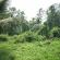 DSCN8014.JPG