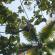 DSCN8044.JPG