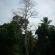 DSCN8586.JPG