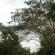 DSCN8623.JPG