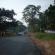 DSCN8767.JPG