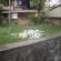 DSCN9022.JPG