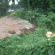 DSCN9047.JPG