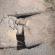 DSCN9540.JPG