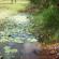 dscn0343.jpg