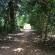dscn0401.jpg