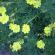dscn0820.jpg