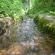 dscn2119.jpg
