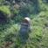 dscn2725.jpg