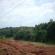 dscn2782.jpg