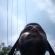 dscn2894.jpg