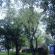 dscn3119.jpg